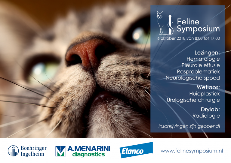 Feline Symposium