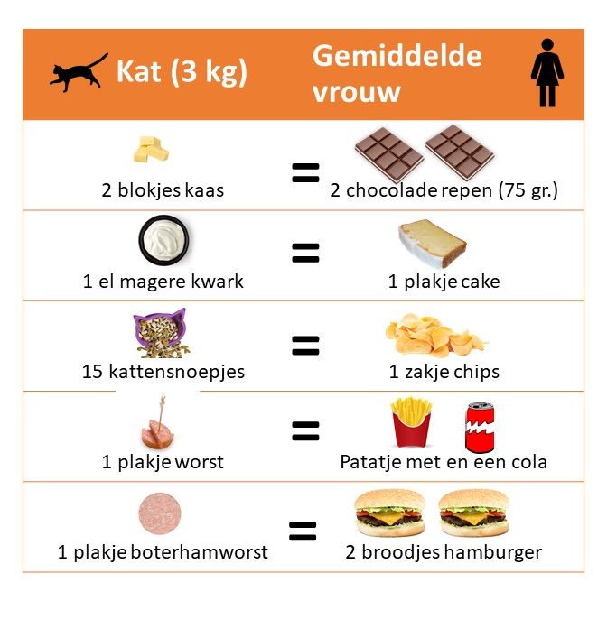 Vergelijking in calorieën tussen mens en kat 