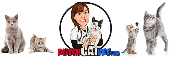 Dutch Cat Vet