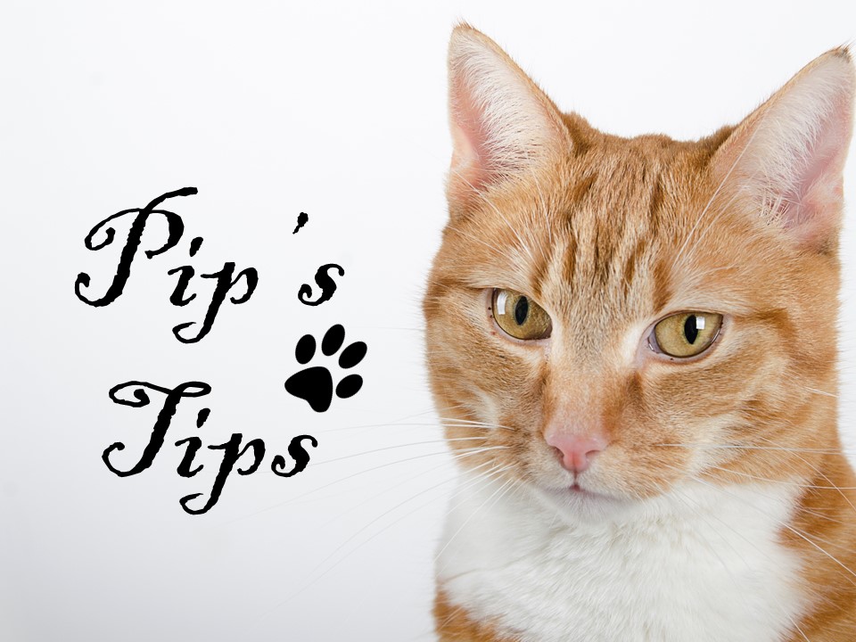 Pips Tips