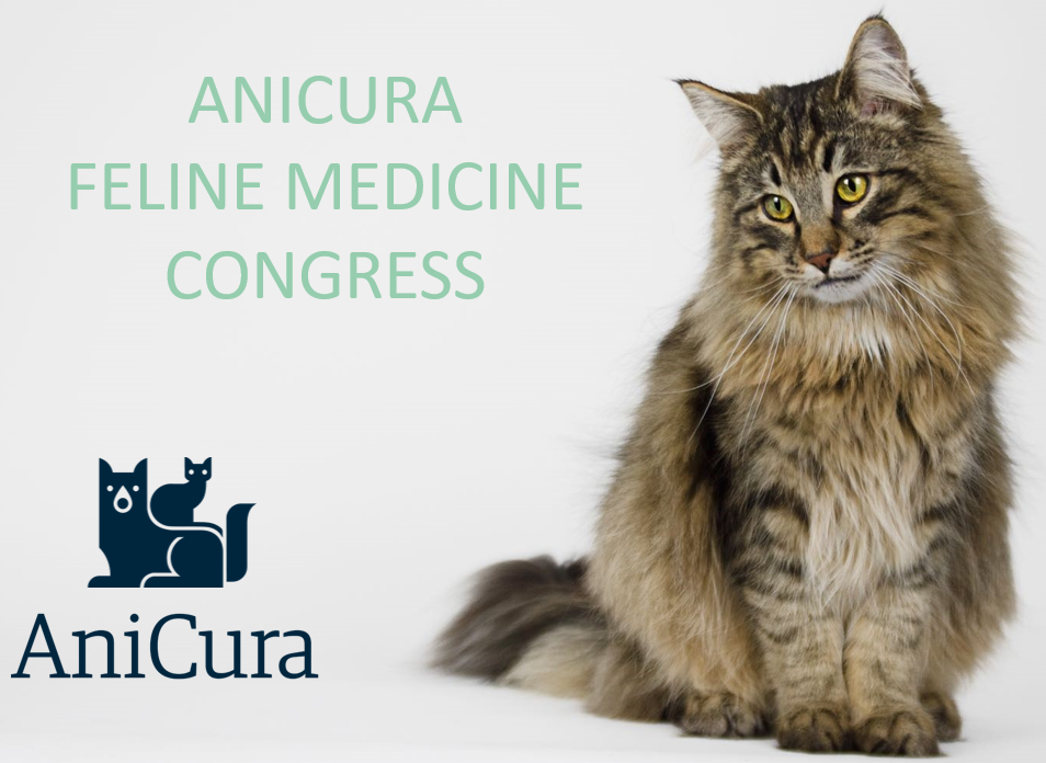 AniCura Feline Medicine Congress