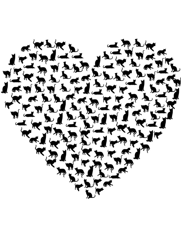 Hart van katten