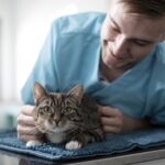 Lorenzo met kat
