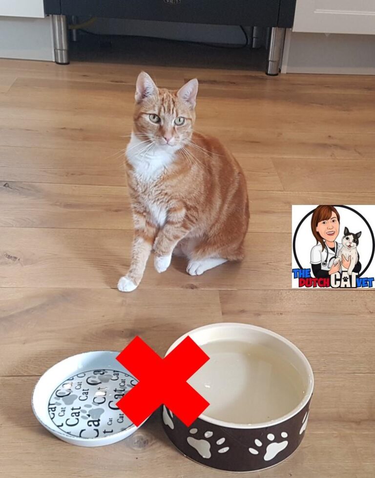 Zet de waterbak liever niet naast de voerbak