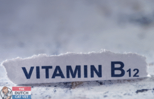 Vitamine B12