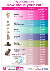 ISFM age chart 