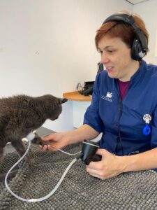 Bloeddruk meten met een Doppler