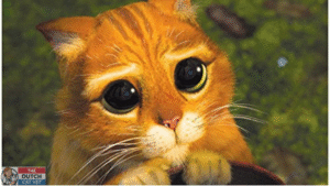 Featured image hypertensie