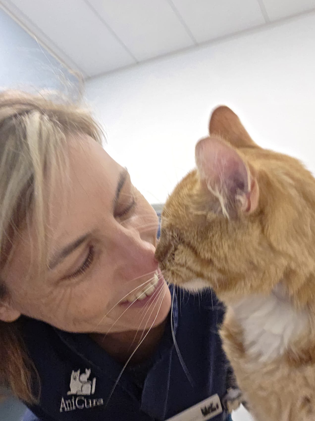 Marieke maakt rustig contact met een kattenpatiënt