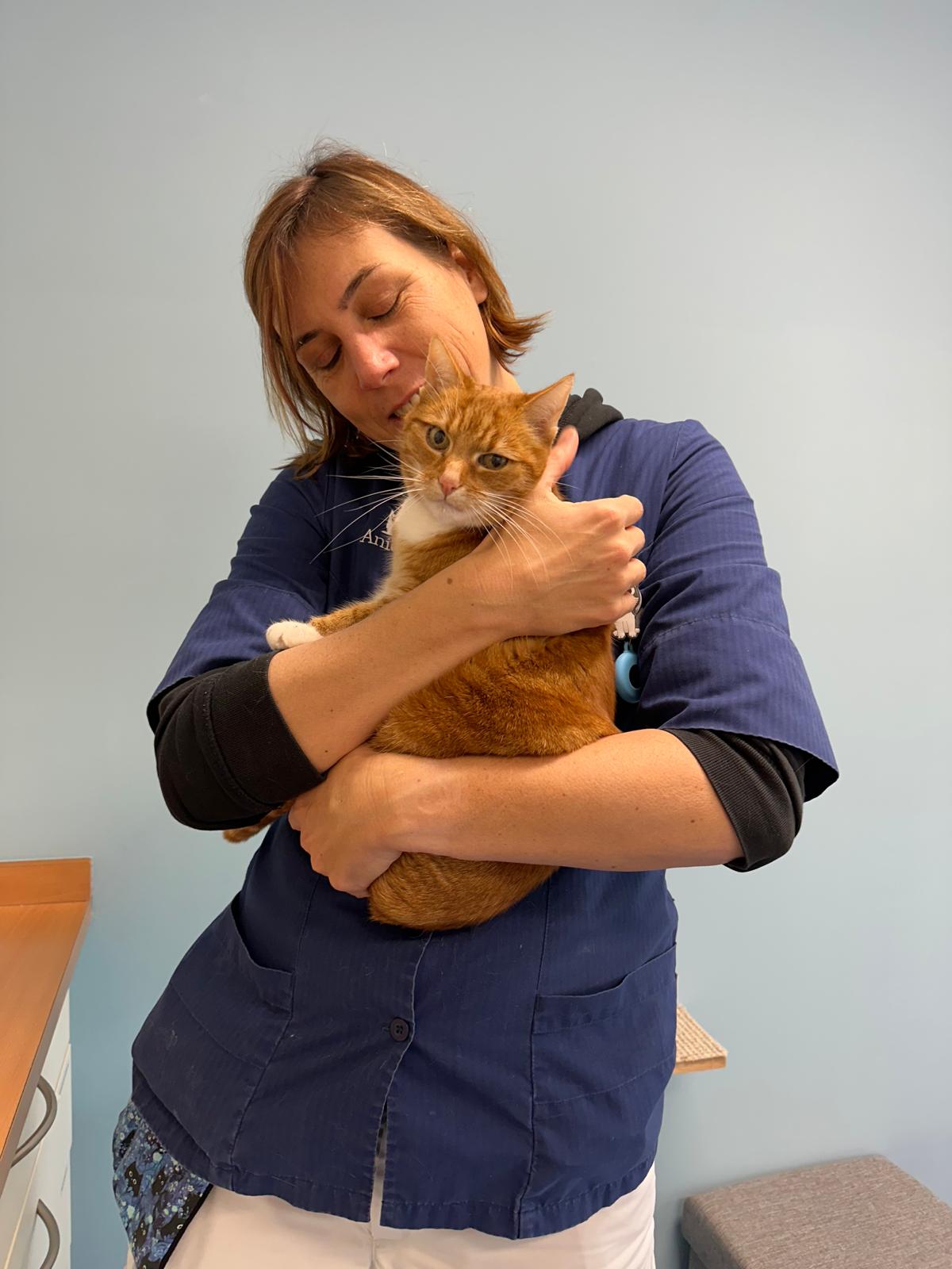 Marieke houdt een kattenpatiënt rustig en liefdevol vast