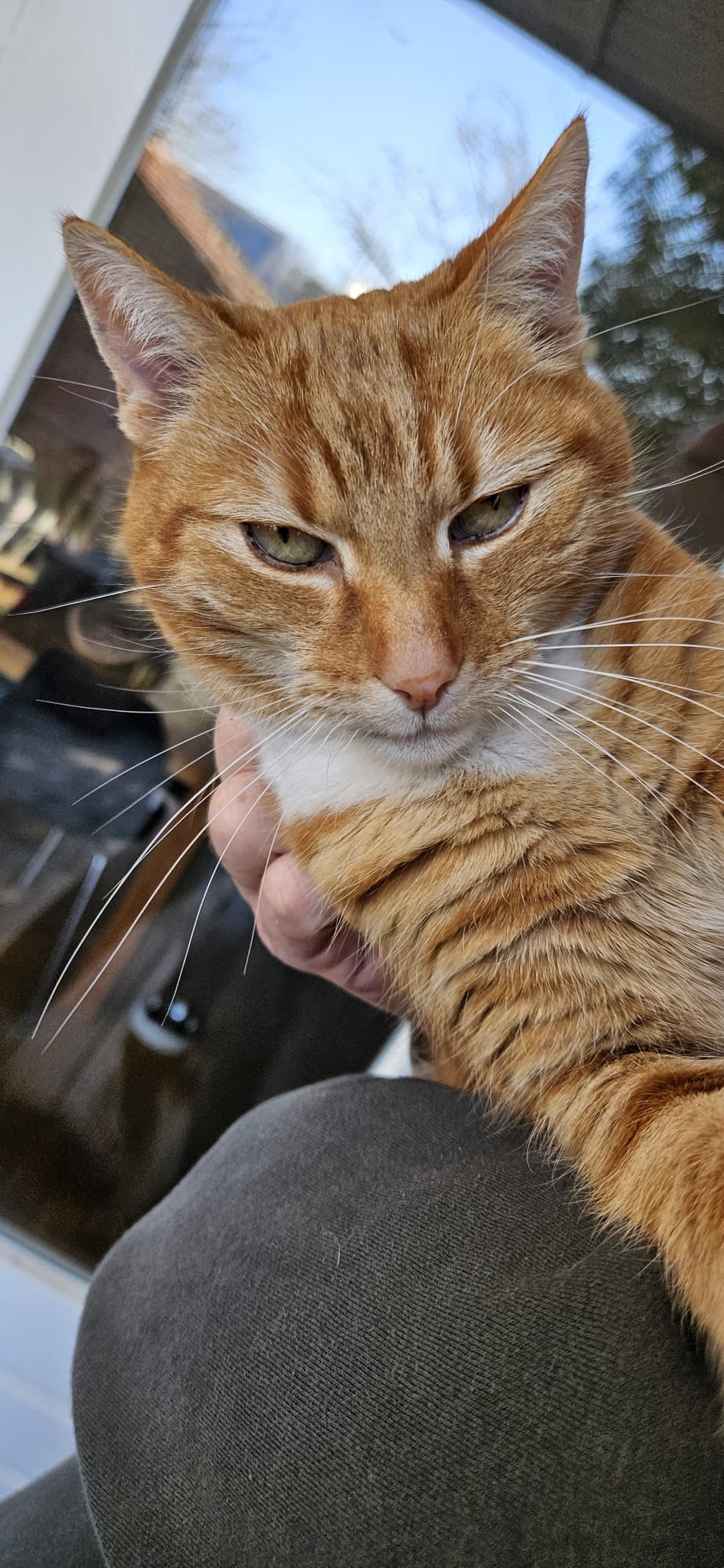 Pip kijkt kritisch in de camera