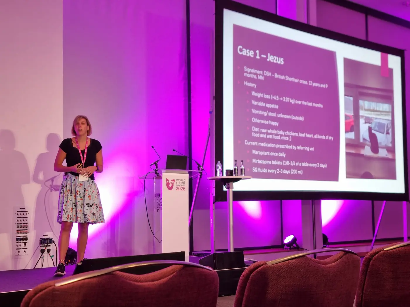 Marieke Knies speaking about feline medicine